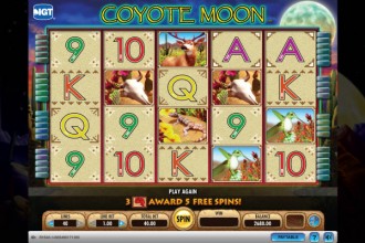 Coyote run slot machine free play